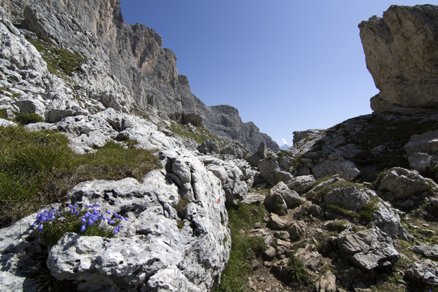 2011-08-24_09-50-27 cadore.jpg - Dolomitenhhenweg (Wanderweg 436 unterhalb des Formin)